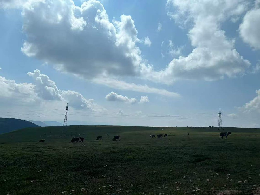 強化風(fēng)電設(shè)備防護，晨虹醇酸底漆助力綠色能源穩(wěn)健前行